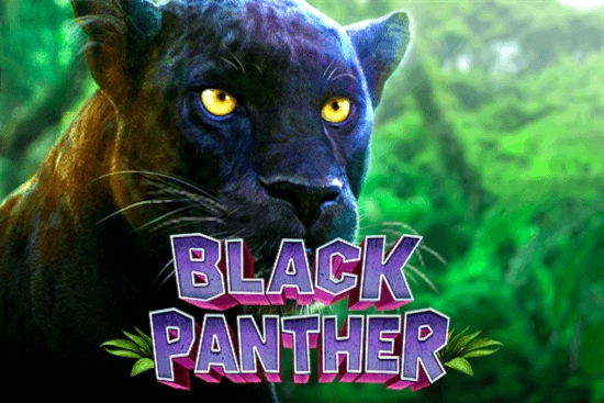 08843 black panther