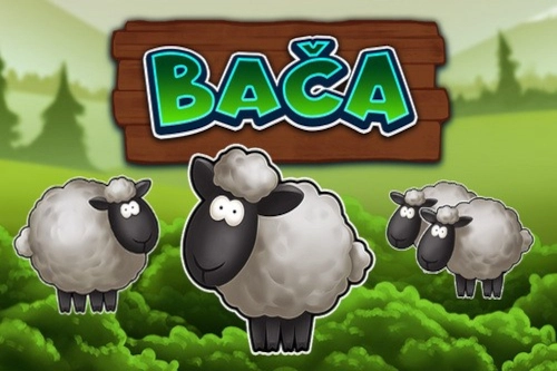 23864 baca